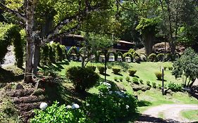 Campestre Daarlu